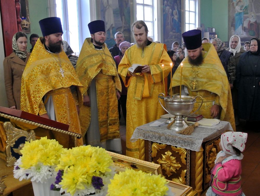 dc2c6eec-541a-4cb0-cb0f-64cf114ee429